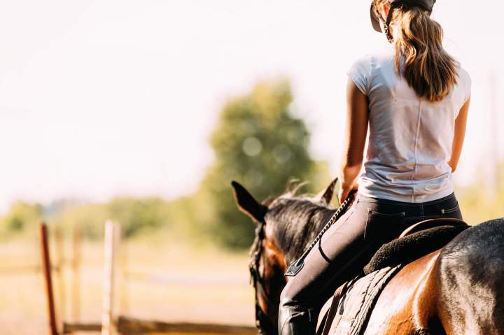 Cours d'équitation La Chapelle-sur-Erdre